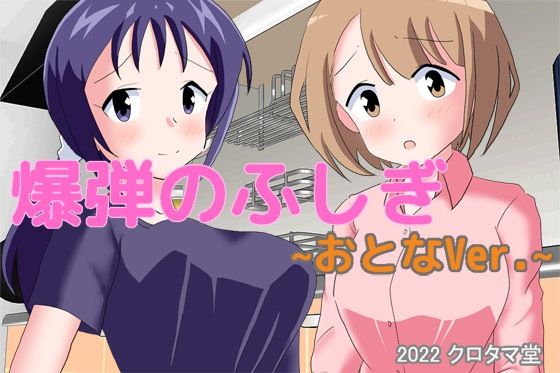 The Mystery of Bombs ~Adult Ver.~ (Kurotama-dou)