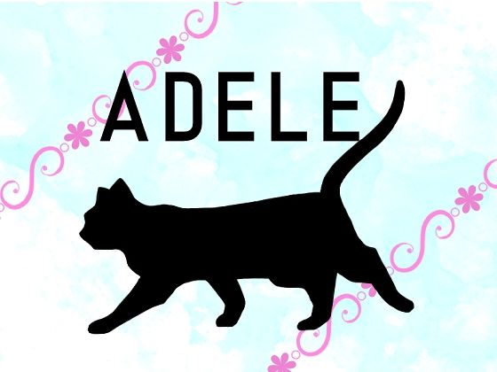 ADELE(柊木犀) - FANZA同人