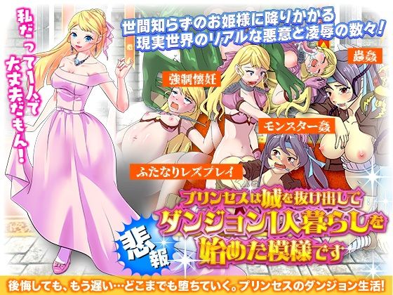 【悲報】プリンセスは城を抜け出してダンジョン1人暮らしを始めた模様です(ちゃっぴぃ1) - FANZA同人