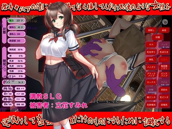 陰キャ以下の僕にも分け隔てなく接してくれた天使のような女性を逆恨みして監禁して僕だけのものにするために調教する(あふろでぃ〜て) - FANZA同人