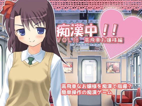 痴●中！ Vo18 高飛車お嬢様編(デリュージョン) - FANZA同人