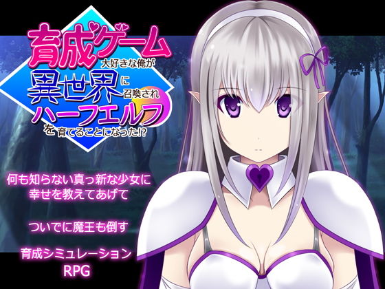 育成ゲーム大好きな俺が異世界に召喚されハーフエルフを育てることになった！？(不透明Z) - FANZA同人