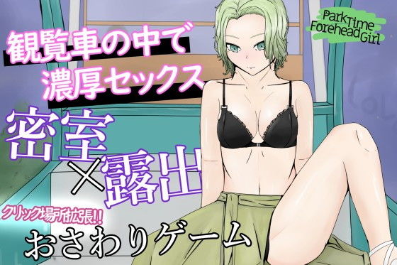 ParkTimeForeheadGirl〜夜の観覧車でデコだし彼女と露出プレイ〜(青。) - FANZA同人