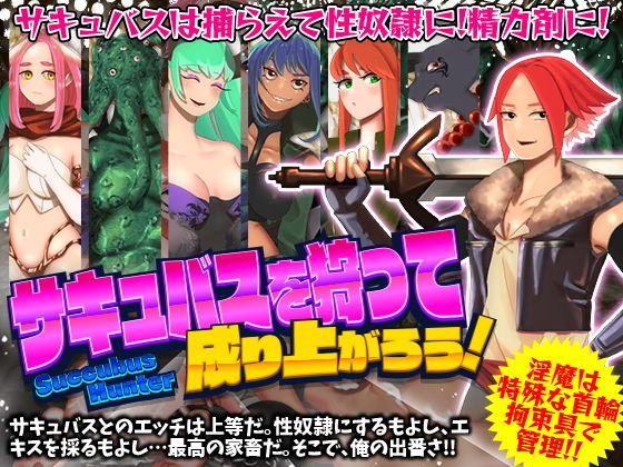 サキュバスを狩って成り上がろう！(第七飛行中隊（紫電改）) - FANZA同人