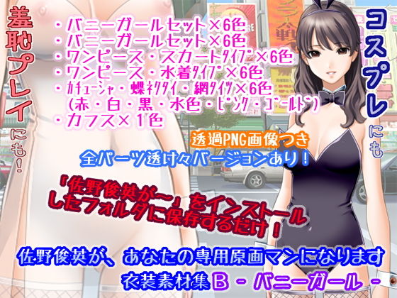 Sano Toshihide Your Personal Artist - Bunny Girl Costume Set B