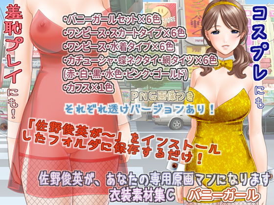 Sano Toshihide Personal Artist – Bunny Girl Costume Set C