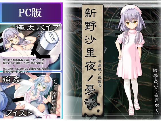 新野沙里夜ノ憂鬱(ぱーせぷとろん) - FANZA同人