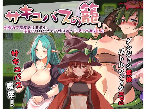 サキュバスの籠 - 町外れで薬草を採る最中、淫魔に辻取りされて精液ペット♂にされました(Ason) - FANZA同人