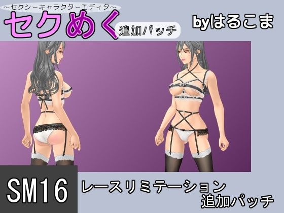 SM16 Lace Limitation Add-on Patch (Harukoma)