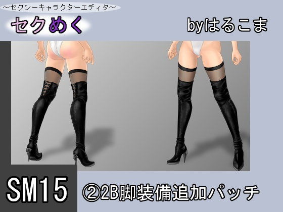 SM15(2) 2B Leg Equipment Add-on Patch by Harukoma