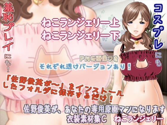 Sano Toshihide as Your Personal Artist - Costume Material Set C: Cat Lingerie