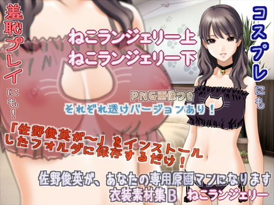 Sano Toshihide as Your Personal Artist - Costume Material Set B: Cat Lingerie