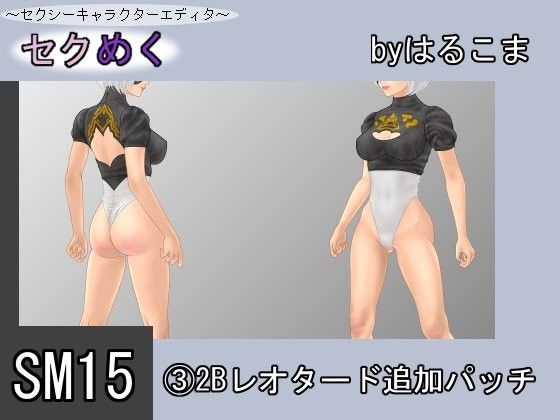 SM15 (3) 2B Leotard Add-on Patch