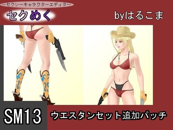 SM13 Western Set Additional Patch (Harukoma)