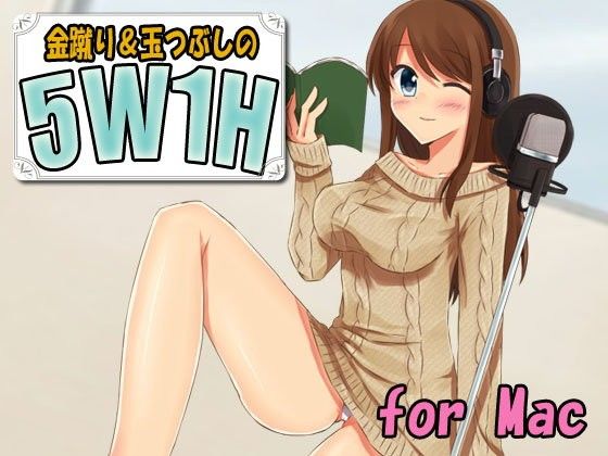 Ballbusting 5W1H - Mac Edition