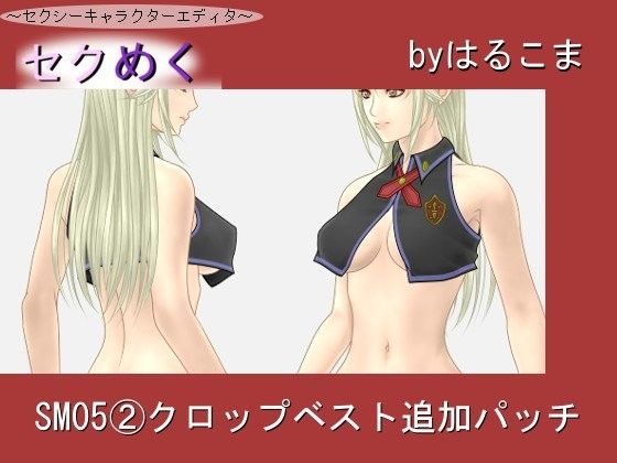 SM05 (2) Crop Vest Additional Patch (harukoma)