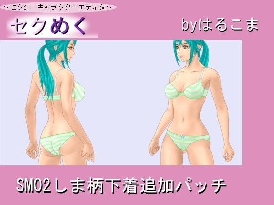 SM02 Striped Underwear Add-on Patch (harukoma)