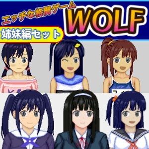 エッチなアップデート型格闘ゲーム〜姉妹編セット(WOLF) - FANZA同人