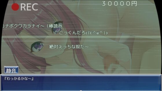 【特典:100分以上えっちなボイスドラマ付き!】ツインキャスト [ふぅりん堂] | DLsite 同人 - R18