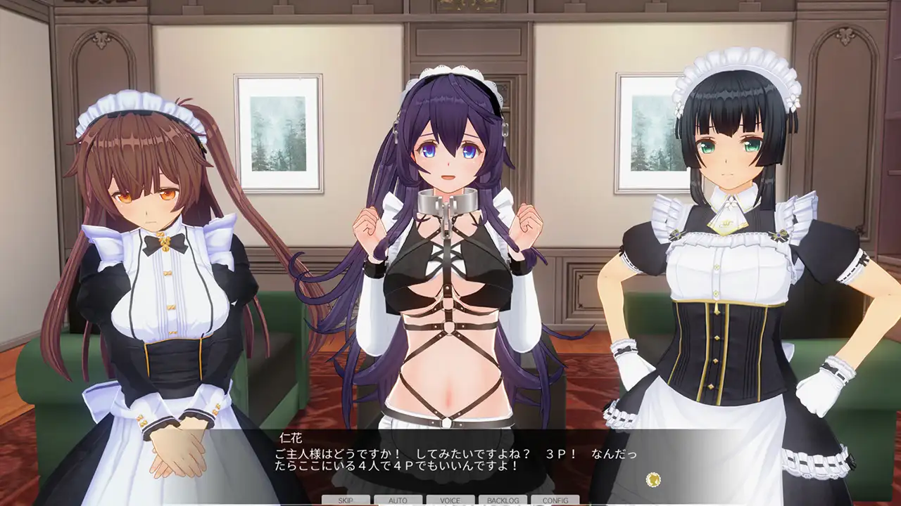 カスタムオーダーメイド3D2&2.5 キャラクターパックEX ド変態ドM [Kiss] | DLsite 美少女ゲーム - R18