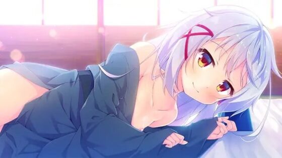 将軍様はお年頃 -千両箱ぱっく- [ALcot] | DLsite 美少女ゲーム - R18