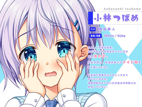 【DL版】AMBITIOUS MISSION つばめくんセット 