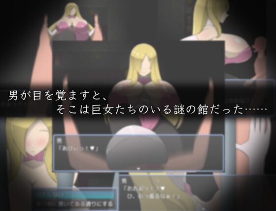 誘惑の館 [ひろいんそふと] | DLsite 同人 - R18