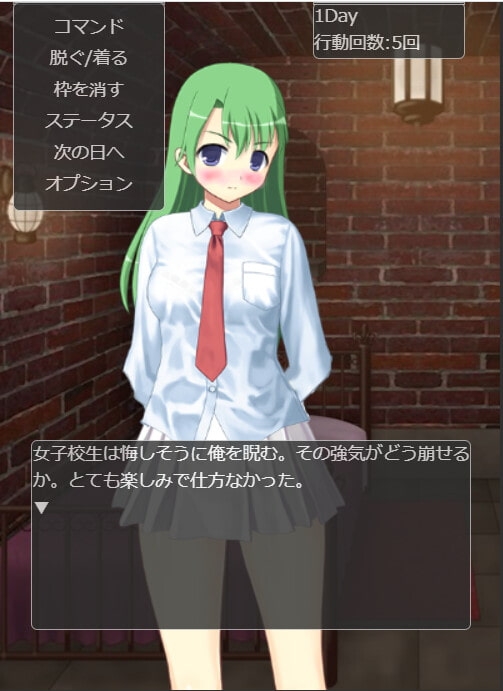 Girl Prison2・～地下室に監禁された女子校生～ [Little ambition] | DLsite 同人 - R18