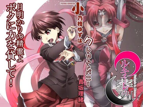 ワルキューレの葬列 Re バージョン1.1 [アトリエ八福庵] | DLsite 同人 - R18