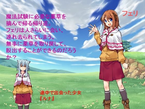 フェリの魔法試験～災難な1日～ [EBANUJ] | DLsite 同人 - R18