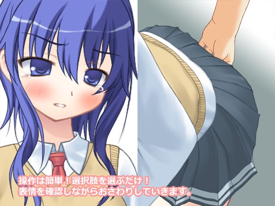 痴漢中!!  Vol1 ツンデレ系いじめっこJK編 [デリュージョン] | DLsite 同人 - R18