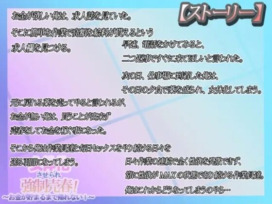 女体化させられ強制売春!～お金が貯まるまで帰れない!～ [Vitis] | DLsite 同人 - R18