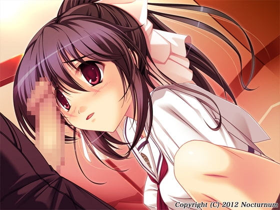 染脳術 [Nocturnum] | DLsite 同人 - R18