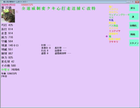 個人向け野球チームをつくろう! [ワークサーチャー] | DLsite 同人 - R18