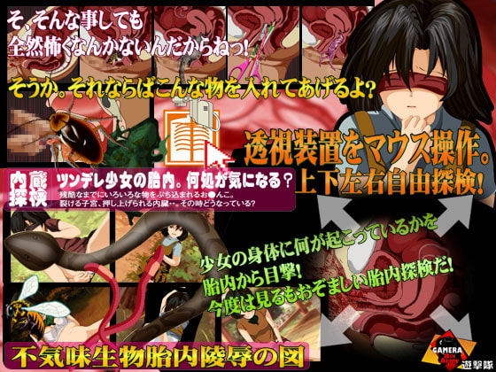 膣の中身はなんだろうなゲーム-ツンデレ娘の大事なアソコ- [ガメラ第8軍] | DLsite 同人 - R18