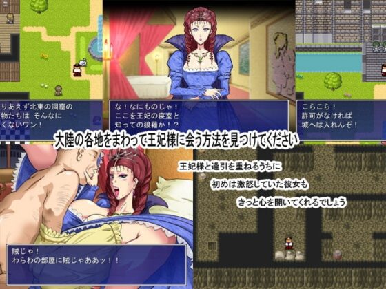 王妃様を奪え! [N-Graphic] | DLsite 同人 - R18