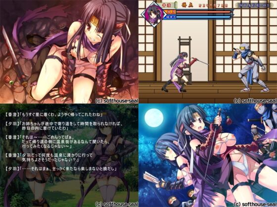 華麗に悩殺♪ くのいちがイク! ～桃色ハレンチ忍法帳～ [softhouse-seal] | DLsite 同人 - R18