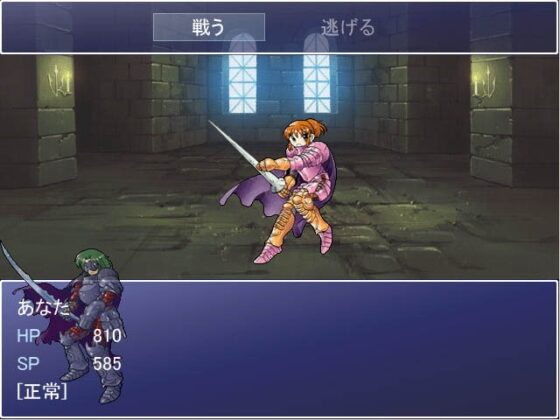 ワルキューレの塔と悪魔のダンジョン [アクノ企画] | DLsite 同人 - R18