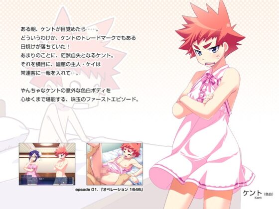 Knt FD [Brief case] | DLsite 同人 - R18