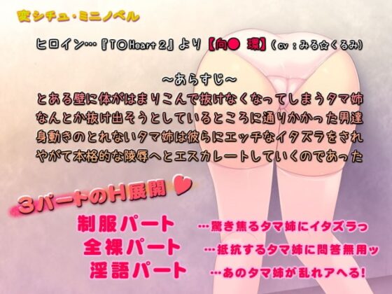 壁のタマ犯りませんか? -タマ姉たまんね- [いいなり美人] | DLsite 同人 - R18