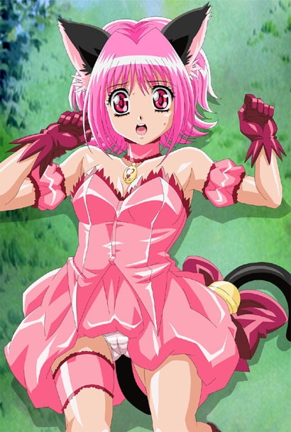 ストロベリーニャンニャン [みりん] | DLsite 同人 - R18