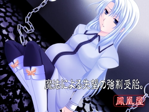 聖銀の女剣士と悪い魔法使い [鳳凰屋] | DLsite 同人 - R18