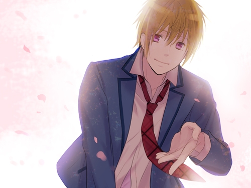 ブラインドプリズム～First Love～ [花*空] | DLsite がるまに