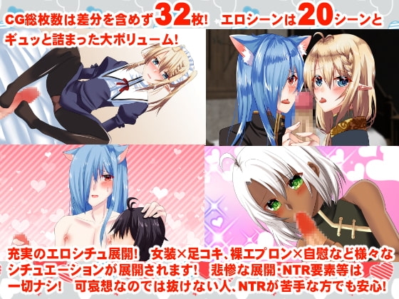 最強魔王に転生したけど勇者に詫びて男の娘ハーレムを作りたいと思います。 [Junky-Soft] | DLsite がるまに