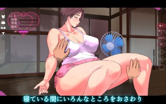 触られる人妻 〜弥生〜睡眠編(ハイレグピーチ) - FANZA同人