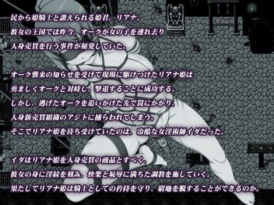 Princess Knight Riana ~Obscene Slave Training~