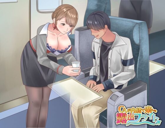 CAが内緒で楽しむ露出フライト フリーシナリオRPG(視萌妻喜) - FANZA同人