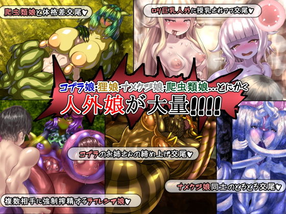 Non-Human Girls Ecology Record