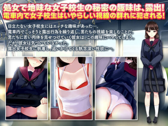 電車露出娘と盗撮ストーカー(殿方温泉) - FANZA同人