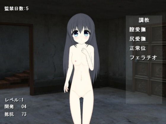 Confinement Diary (Wataridori) - FANZA Doujin